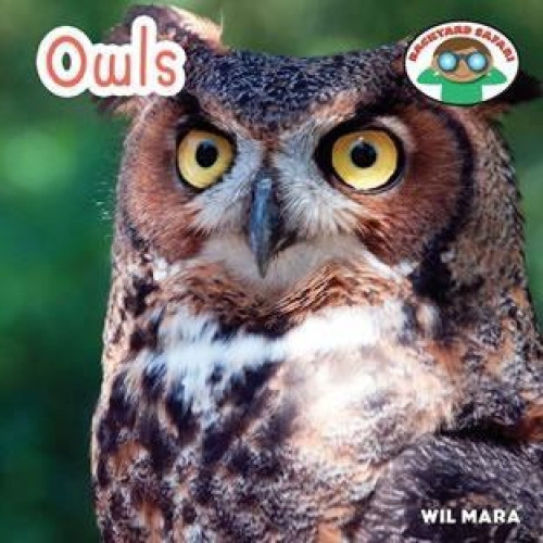 Owls - 9781627122986 by Wil Mara
