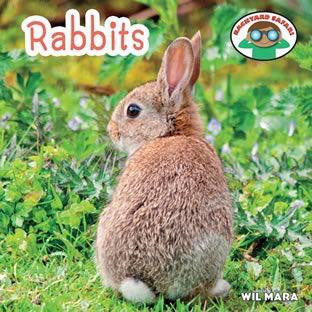 Rabbits - 9781627123105 by Wil Mara, 9781627123105