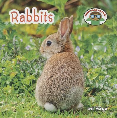 Rabbits - 9781627123112 by Wil Mara, 9781627123112
