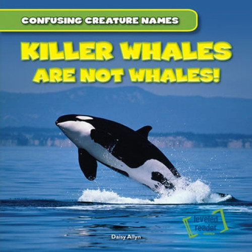 Killer Whales Are Not Whales! - 9781482409628 by Daisy Allyn