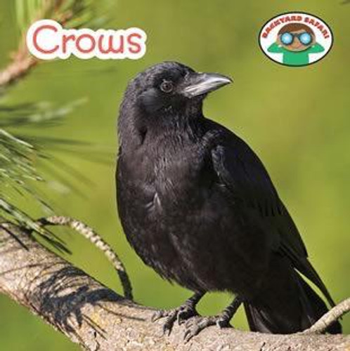 Crows - 9781627128315 by Steven Otfinoski, 9781627128315