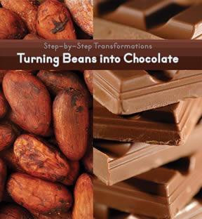 Turning Beans into Chocolate - 9781627130059 by Herald P. McKinley, 9781627130059