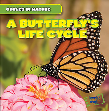 A Butterfly's Life Cycle - 9781482416503 by George Pendergast, 9781482416503