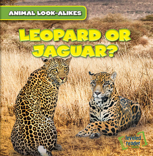 Leopard or Jaguar? - 9781482427226 by Rob Ryndak, 9781482427226