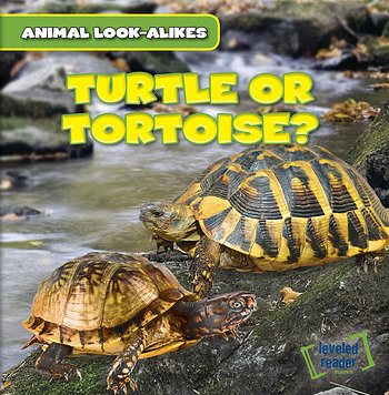 Turtle or Tortoise? - 9781482427301 by Rob Ryndak, 9781482427301