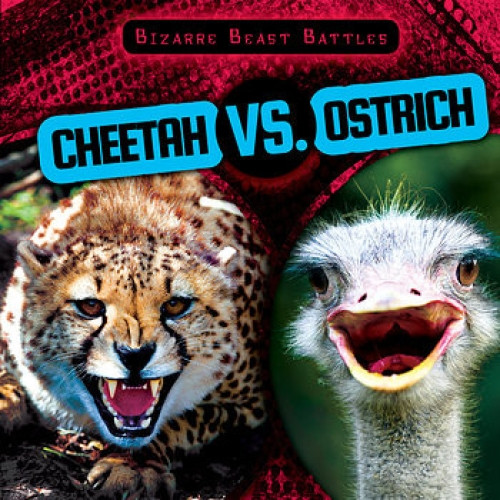 Cheetah vs. Ostrich - 9781482427868 by Charlotte Herriott