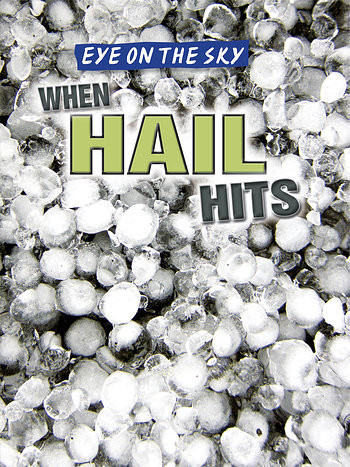 When Hail Hits - 9781482428865 by Christine Honders, 9781482428865