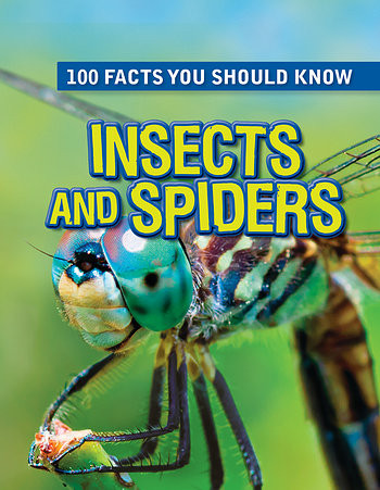 Insects and Spiders - 9781482432046 by Steve Parker, 9781482432046