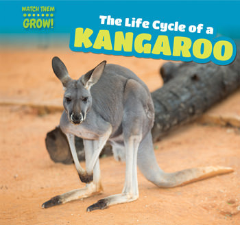 The Life Cycle of a Kangaroo - 9781499406757 by Amy Austen, 9781499406757