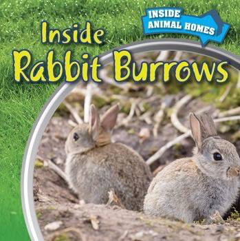 Inside Rabbit Burrows - 9781499409277 by Liz Chung, 9781499409277