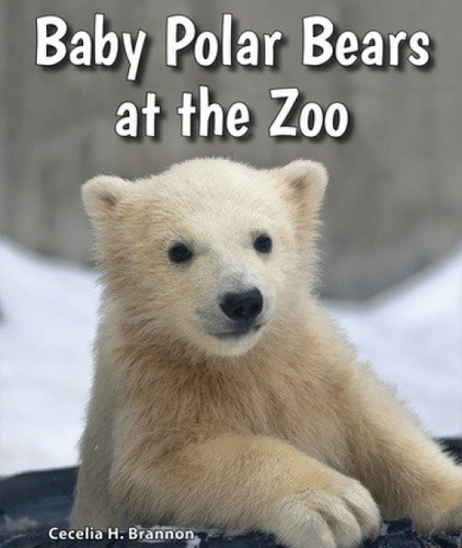 Baby Polar Bears at the Zoo by Cecelia H. Brannon, 9780766071544