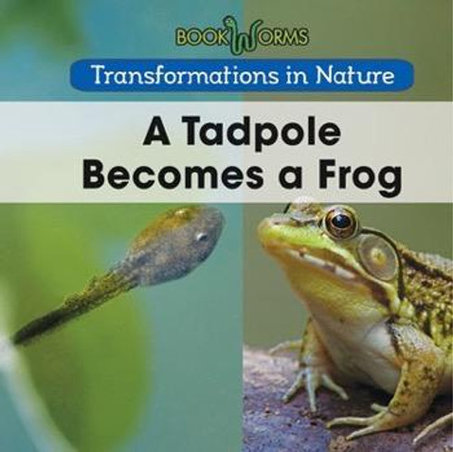 A Tadpole Becomes a Frog - 9781502608208 by Amy Hayes, 9781502608208