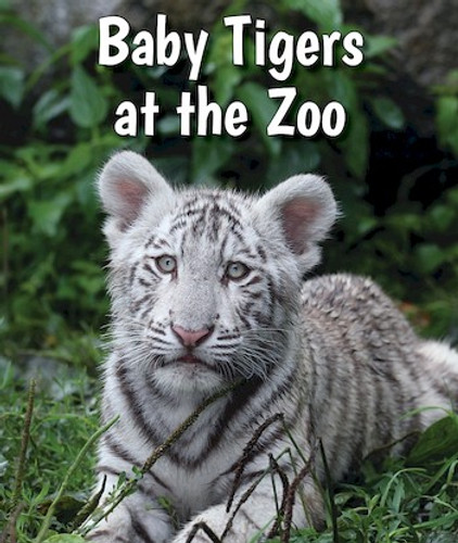 Baby Tigers at the Zoo by Cecelia H. Brannon, 9780766075597
