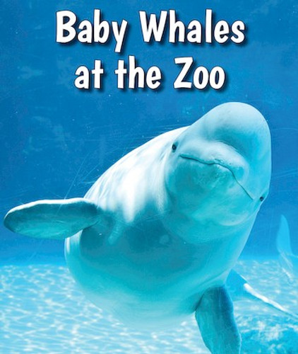 Baby Whales at the Zoo by Cecelia H. Brannon, 9780766075634