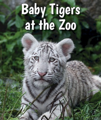 Baby Tigers at the Zoo - 9780766075740 by Cecelia H. Brannon, 9780766075740