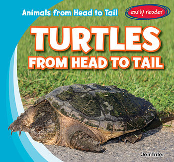 Turtles from Head to Tail by Jen Trifer, 9781482445404