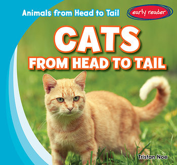 Cats from Head to Tail - 9781482445428 by Tristan Noe, 9781482445428