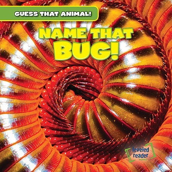 Name That Bug! by Demi Jackson, 9781482447446