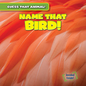 Name That Bird! - 9781482447507 by Demi Jackson, 9781482447507