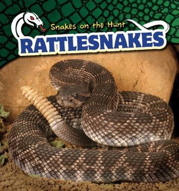 Rattlesnakes - 9781499422047 by Shaye Reynolds, 9781499422047
