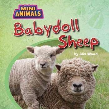 Babydoll Sheep - 9781499481501 by Alix Wood, 9781499481501