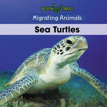 Sea Turtles - 9781502620941 by B. J. Best, 9781502620941
