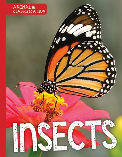 Insects - 9781534520158 by Charlie Ogden, 9781534520158