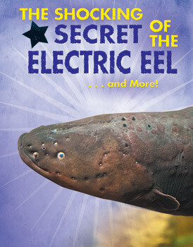 The Shocking Secret of the Electric Eel...and More! by Ana María Rodríguez, 9780766087262