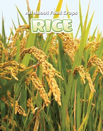 Rice - 9780766088283 by Cecelia H. Brannon, 9780766088283