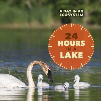 24 Hours in a Lake by Alicia Z. Klepeis, 9781502624802