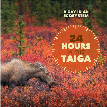 24 Hours in the Taiga by Alicia Z. Klepeis, 9781502624840