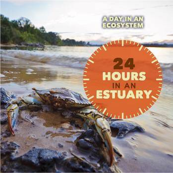 24 Hours in an Estuary by Laura Sullivan, 9781502624864