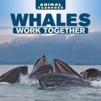 Whales Work Together - 9781508155447 by Clara Coleman, 9781508155447