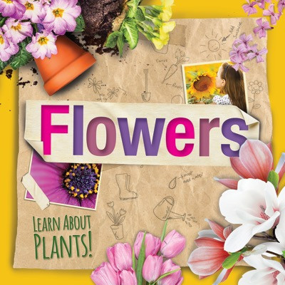 Flowers - 9781534522398 by Steffi Cavell-Clarke, 9781534522398