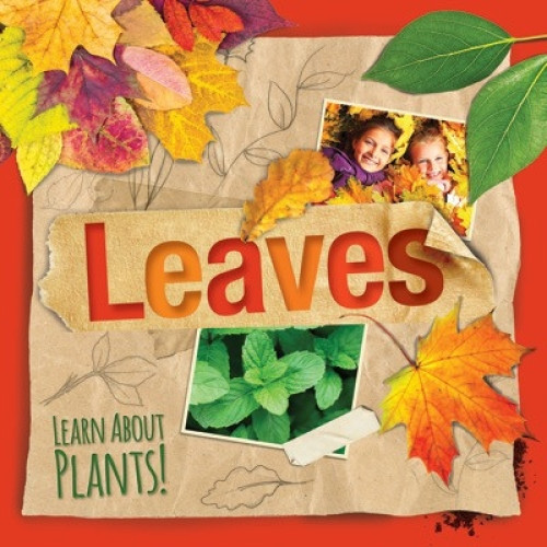 Leaves - 9781534522428 by Steffi Cavell-Clarke