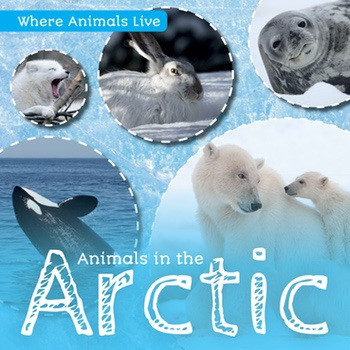 Animals in the Arctic - 9781534523838 by John Wood, 9781534523838