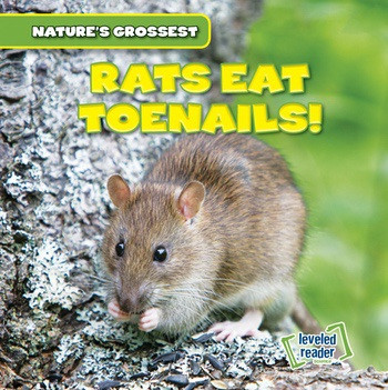 Rats Eat Toenails! - 9781538209554 by Roberto Betances, 9781538209554