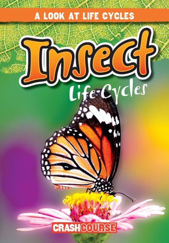 Insect Life Cycles - 9781538210468 by Bray Jacobson, 9781538210468