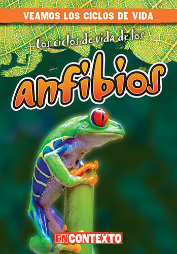 Los ciclos de vida de los anfibios (Amphibian Life Cycles) by Bray Jacobson, Alberto Jiménez, 9781538215265