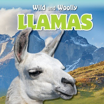 Llamas - 9781538325315 by Lori MacDhui, 9781538325315