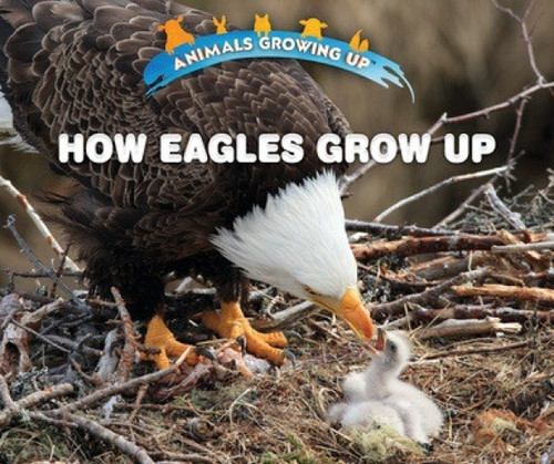 How Eagles Grow Up by Heather Moore Niver, 9780766096394