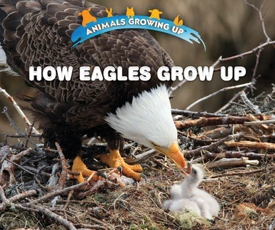 How Eagles Grow Up - 9780766096400 by Heather Moore Niver, 9780766096400