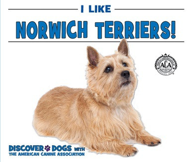 I Like Norwich Terriers! by Linda Bozzo, 9780766096714
