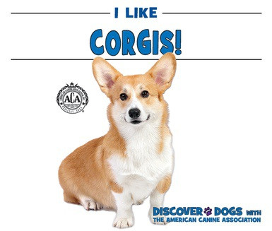 I Like Corgis! - 9780766096769 by Linda Bozzo, 9780766096769