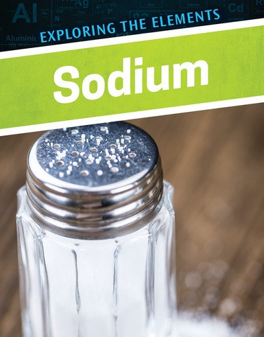 Sodium - 9780766099302 by Avery Elizabeth Hurt, 9780766099302