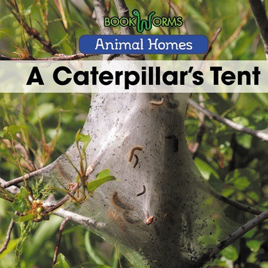 A Caterpillar's Tent - 9781502636522 by Arthur Best, 9781502636522