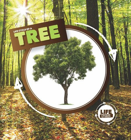 Life Cycle of a Tree - 9781534526440 by Kirsty Holmes, 9781534526440