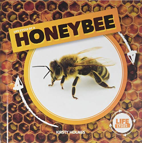 Life Cycle of a Honeybee by Kirsty Holmes, 9781534527270