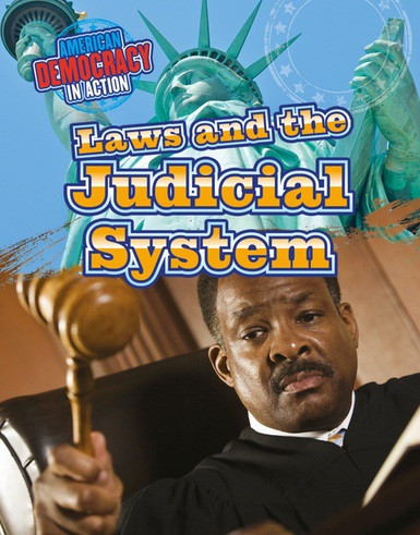 Laws and the Judicial System by Cathleen Small, 9781534564039