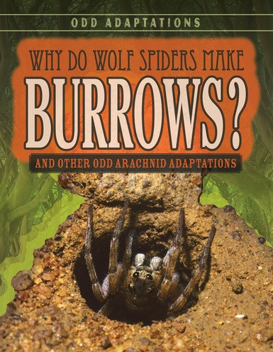 Why Do Wolf Spiders Make Burrows? (And Other Odd Arachnid Adaptations) by Meghan Sharif, 9781538220351